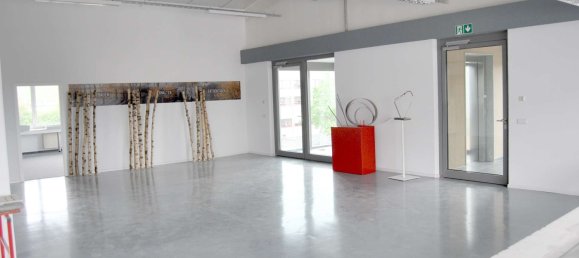 Gewerbliche Immobilie in Breisgau-Hochschwarzwald, Germany 5727m², Nr. 11065 11