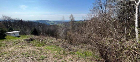  Land in Hochneukirchen-Gschaidt, Austria No. 164088 3