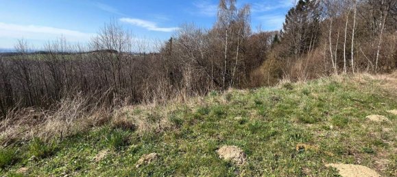  Land in Hochneukirchen-Gschaidt, Austria No. 164088 9