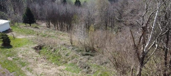  Land in Hochneukirchen-Gschaidt, Austria No. 164088 6
