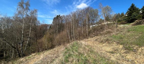  Land in Hochneukirchen-Gschaidt, Austria No. 164088 8