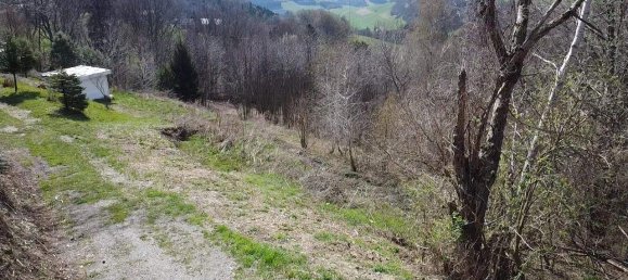  Land in Hochneukirchen-Gschaidt, Austria No. 164088 10
