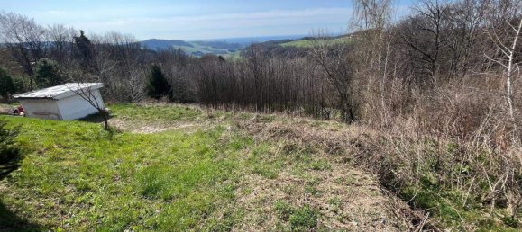  Land in Hochneukirchen-Gschaidt, Austria No. 164088 5