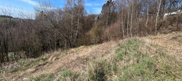  Land in Hochneukirchen-Gschaidt, Austria No. 164088 7