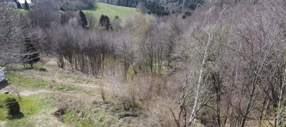  Land in Hochneukirchen-Gschaidt, Austria No. 164088 2