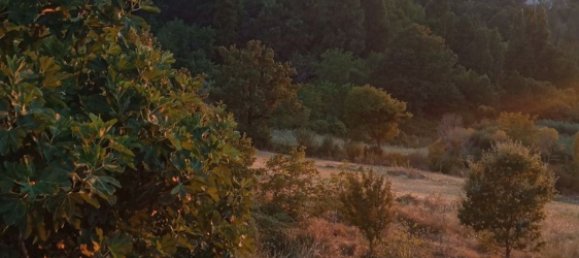 5 rooms Apartment in Rotonda, Italy No. 256870 10