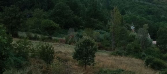 5 rooms Apartment in Rotonda, Italy No. 256870 15