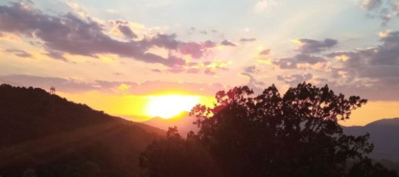 5 rooms Apartment in Rotonda, Italy No. 256870 8