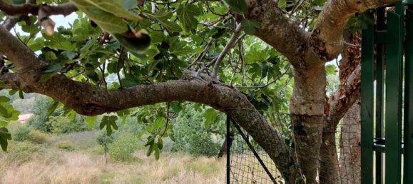 5 rooms Apartment in Rotonda, Italy No. 256870 34