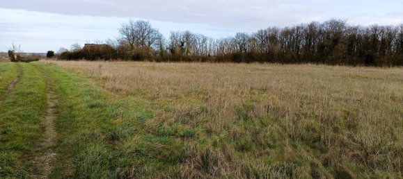 1-salle Terrain à Ligueil, France No. 44902 5
