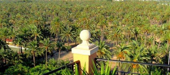 3 bedrooms Penthouse in Elche, Spain No. 6850 15