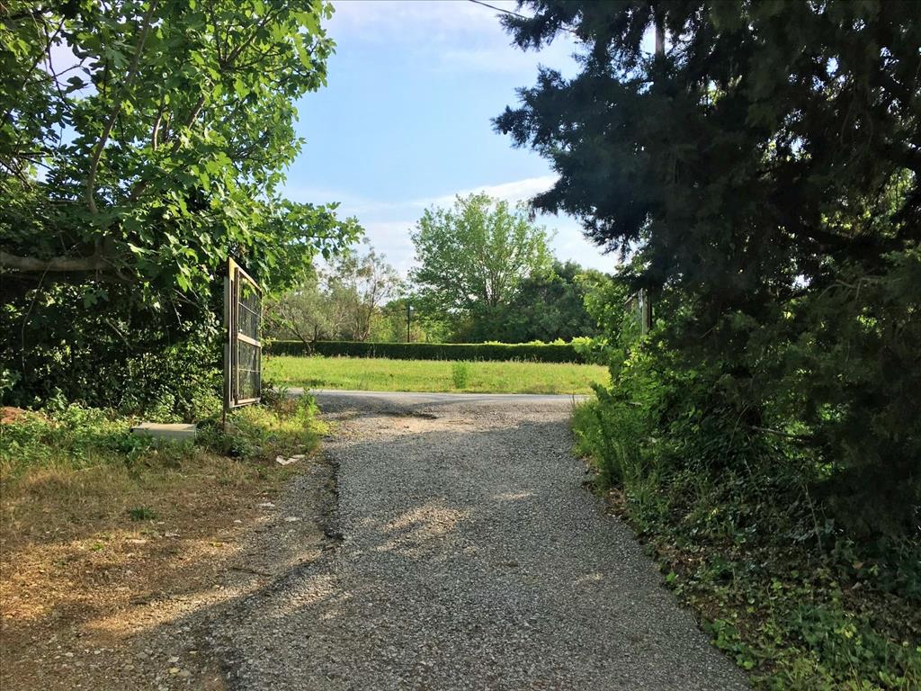 8125m² Hotel in Polichni, Greece No. 4864