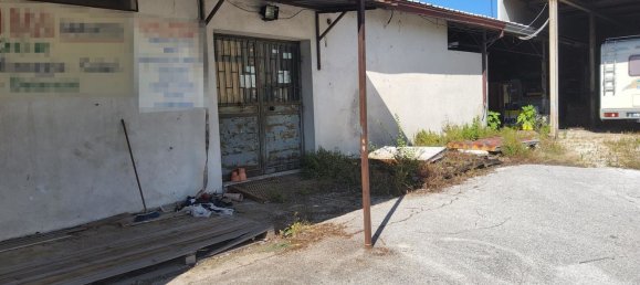 Gewerbliche Immobilie in Rocca d'Evandro, Italy 5663m², Nr. 224428 6