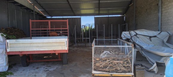 Gewerbliche Immobilie in Rocca d'Evandro, Italy 5663m², Nr. 224428 17