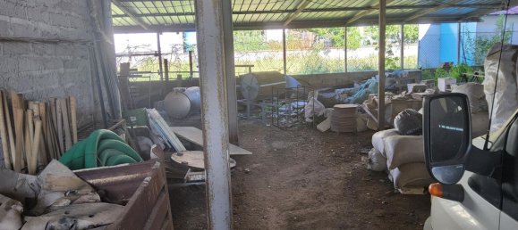 Gewerbliche Immobilie in Rocca d'Evandro, Italy 5663m², Nr. 224428 21