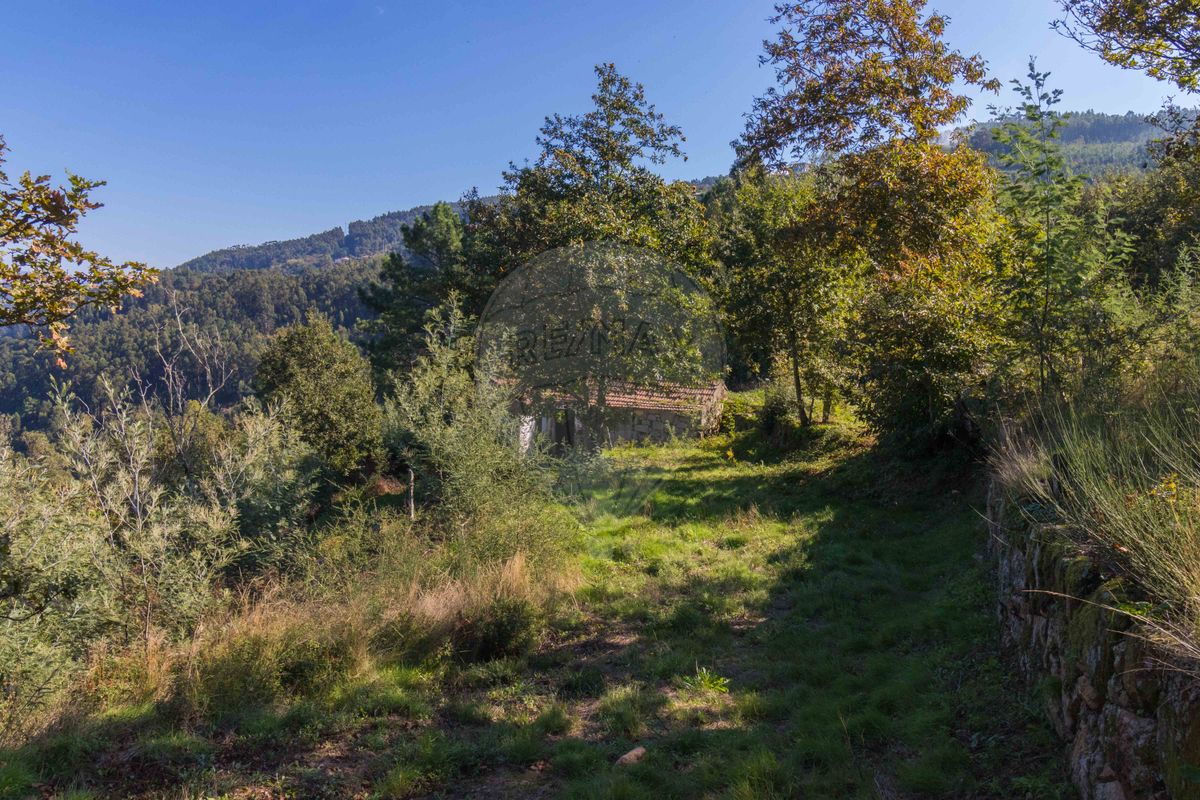 2 bedrooms House in Espadanedo, Portugal No. 176893