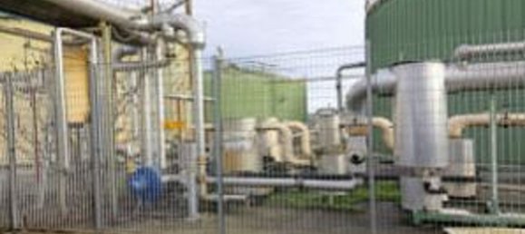 31264m² Commercial property in Canda, Italy No. 284205 8