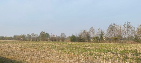 Grundstück in Polverara, Italy 6000m², Nr. 255889 5