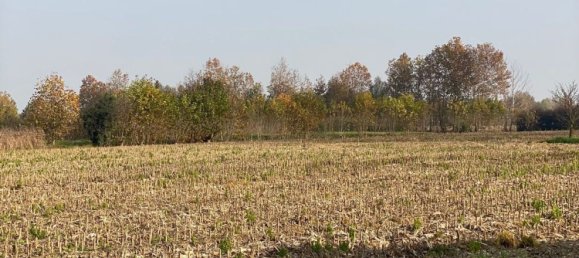 Grundstück in Polverara, Italy 6000m², Nr. 255889 7