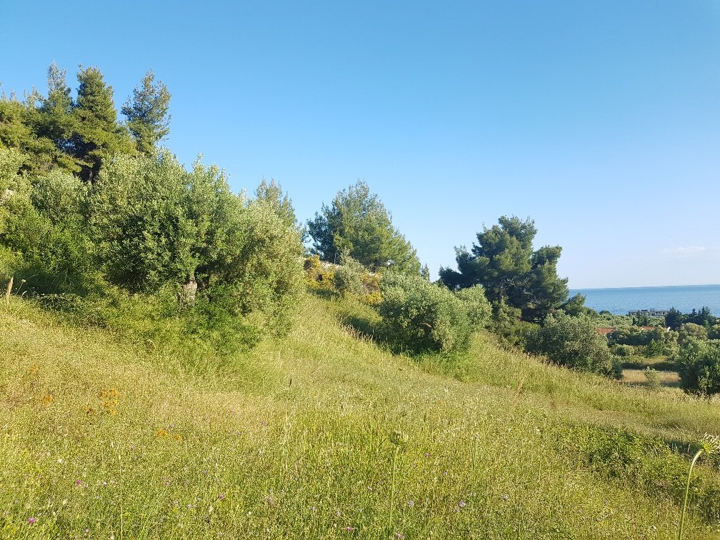 4500m² hôtel à vendre à Chalkidiki, Central Macedonia, Macedonia and Thrace, Greece № 4881