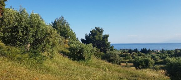 4500m² Hotel in Chalkidiki, Greece No. 4881 2