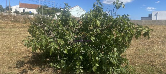 2820m² Land in Setubal, Portugal No. 77832 14