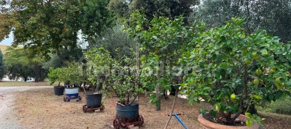 4 غرف نوم منزل في Terre Roveresche, Italy رقم 344631 23