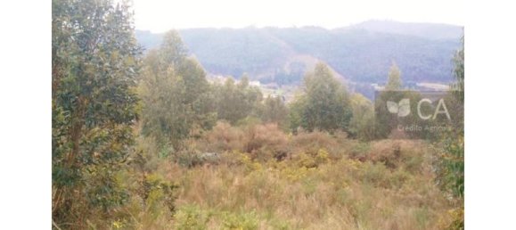 Terreno em Santo Tirso, Portugal 33000 m² N.º 51543 4