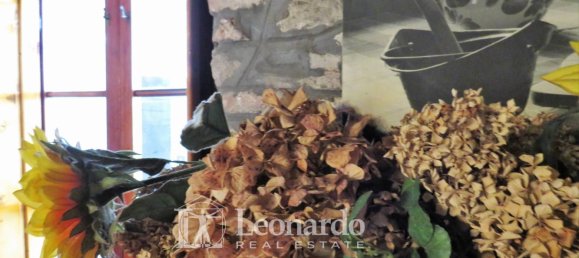 6 bedrooms House in Lucca, Italy No. 47963 43