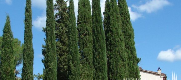 5 Schlafzimmer Villa in Bucine, Italy, Nr. 57438 18