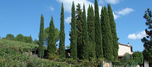 5 Schlafzimmer Villa in Bucine, Italy, Nr. 57438 17