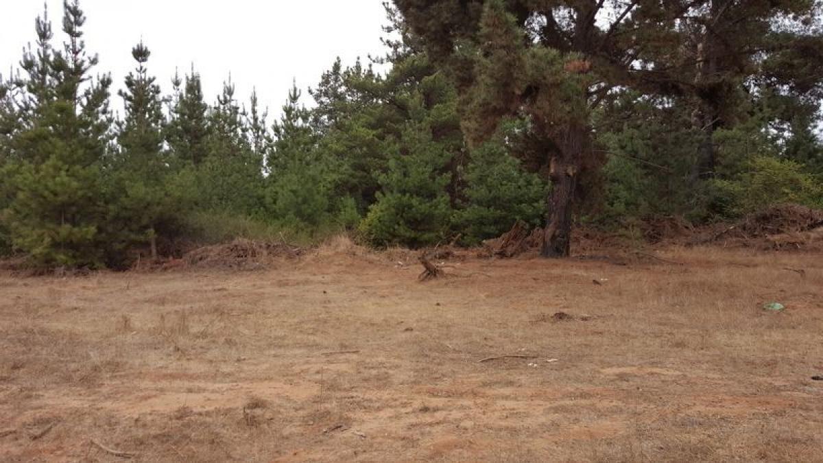  Land in Valparaiso, Chile No. 1289