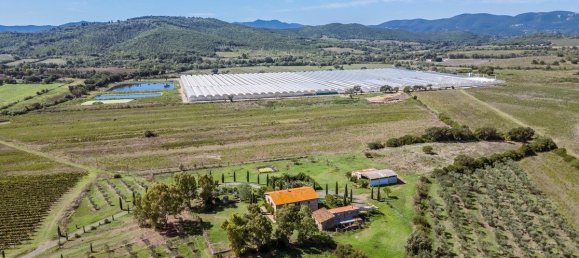 Casa T6 em Gavorrano, Italy N.º 361724 19