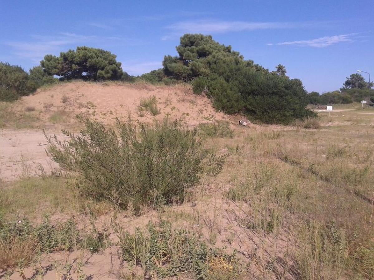  Land in Mar del Plata, Argentina No. 121475