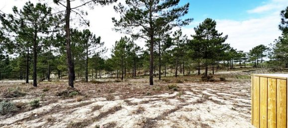 1116m² Land in Grandola, Portugal No. 73567 40