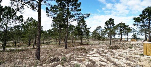 1116m² Land in Grandola, Portugal No. 73567 22