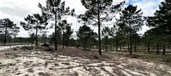 1116m² Land in Grandola, Portugal No. 73567 55