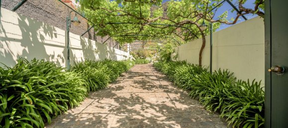 5 bedrooms House in Porto da Cruz, Portugal No. 141966 28