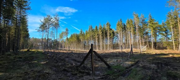  قطعة أرض في Rudow, Germany رقم 293894 8