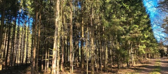  قطعة أرض في Rudow, Germany رقم 293894 11