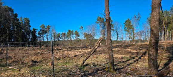  قطعة أرض في Rudow, Germany رقم 293894 4