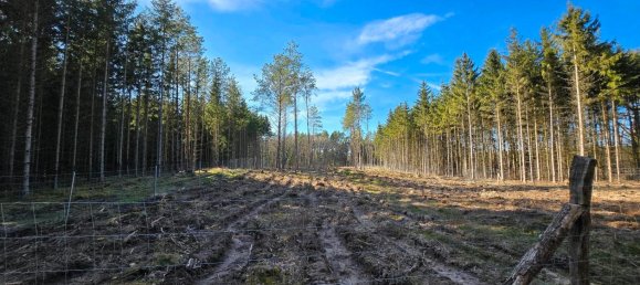  قطعة أرض في Rudow, Germany رقم 293894 6