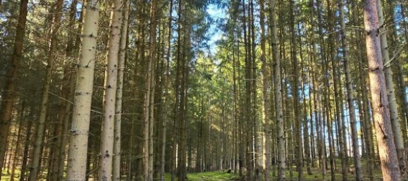  قطعة أرض في Rudow, Germany رقم 293894 9