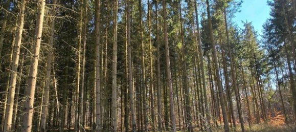  قطعة أرض في Rudow, Germany رقم 293894 2