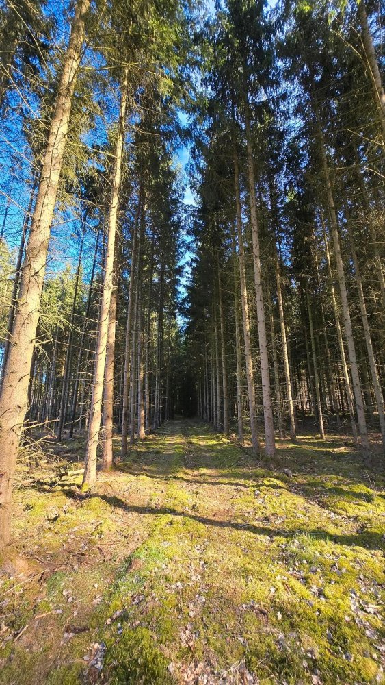  قطعة أرض في Rudow, Germany رقم 293894