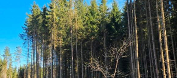  قطعة أرض في Rudow, Germany رقم 293894 5