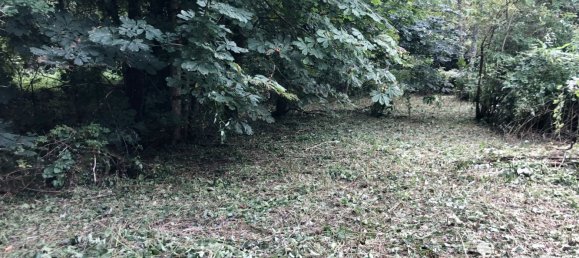 3 bedrooms House in Ourouer-les-Bourdelins, France No. 257079 25