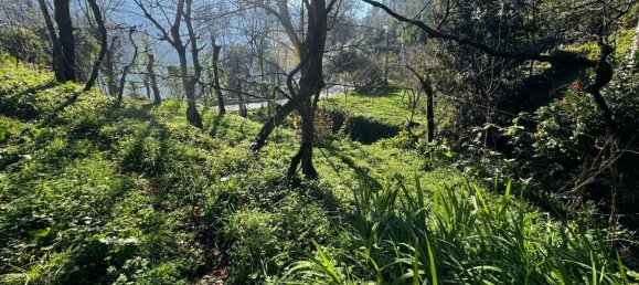 3 bedrooms Castles in Rio Caldo, Portugal No. 164961 25