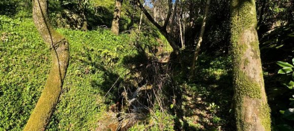 3 bedrooms Castles in Rio Caldo, Portugal No. 164961 24