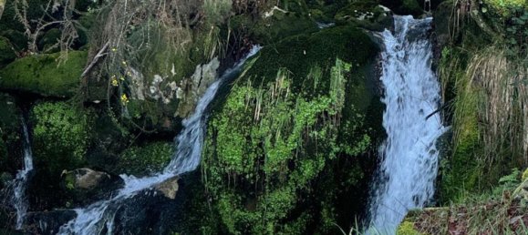 3 bedrooms Castles in Rio Caldo, Portugal No. 164961 3